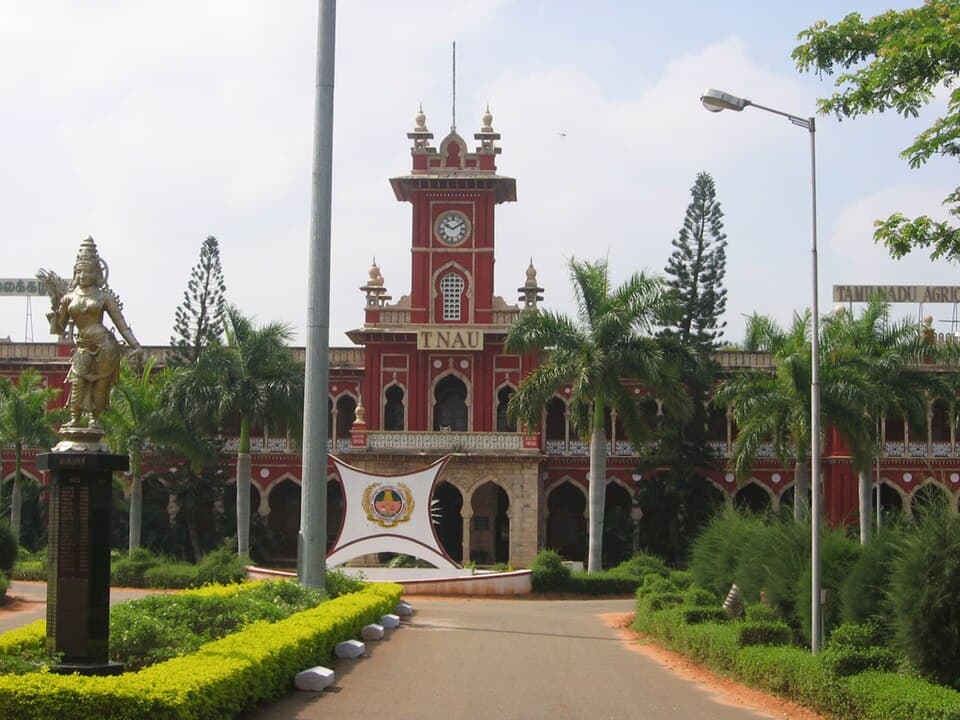 Tamil Nadu Agricultural University
